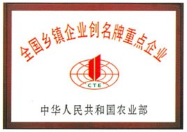 榮譽(yù)資質(zhì)